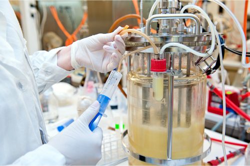 Life Sciences, Studienrichtung Biotechnologie
