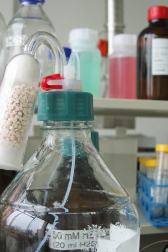 Life Sciences, Chemical Engineering