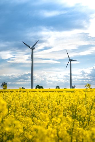 Umweltingenieurwissenschaften / Environmental Engineering